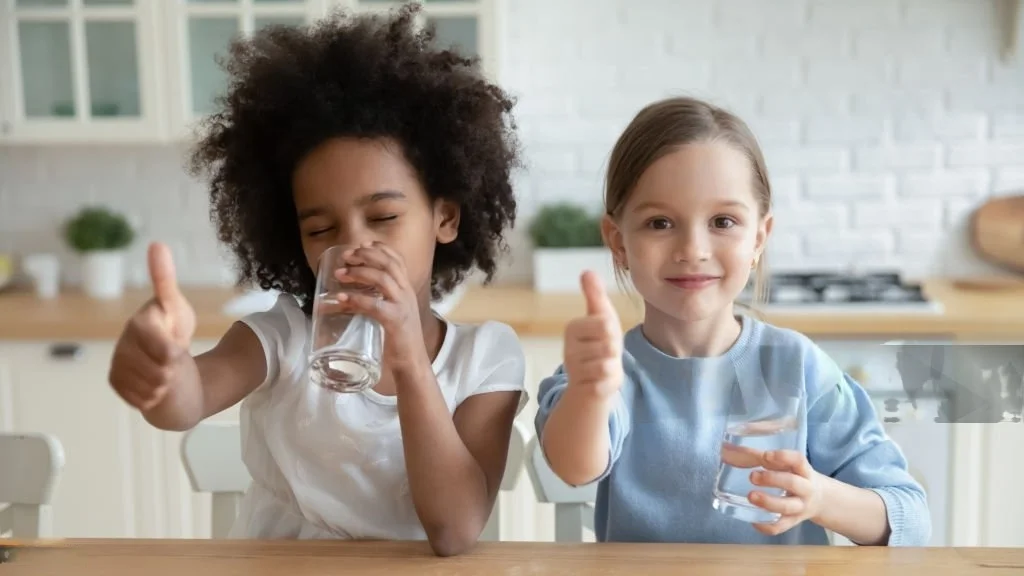 homeplus_nepal_services